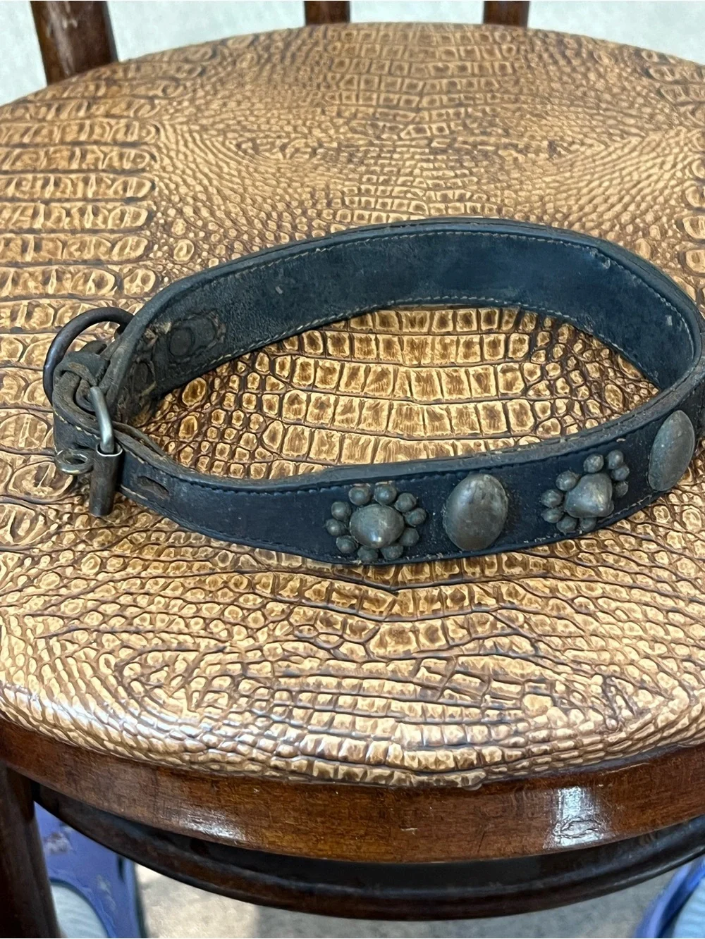 Vintage 18-19th Century Leather Dog collar with Brass Studs and Pawprint Conchos